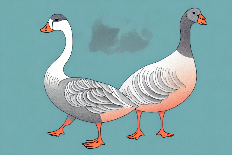 What Does Goose Mean Sexually? Allo Health